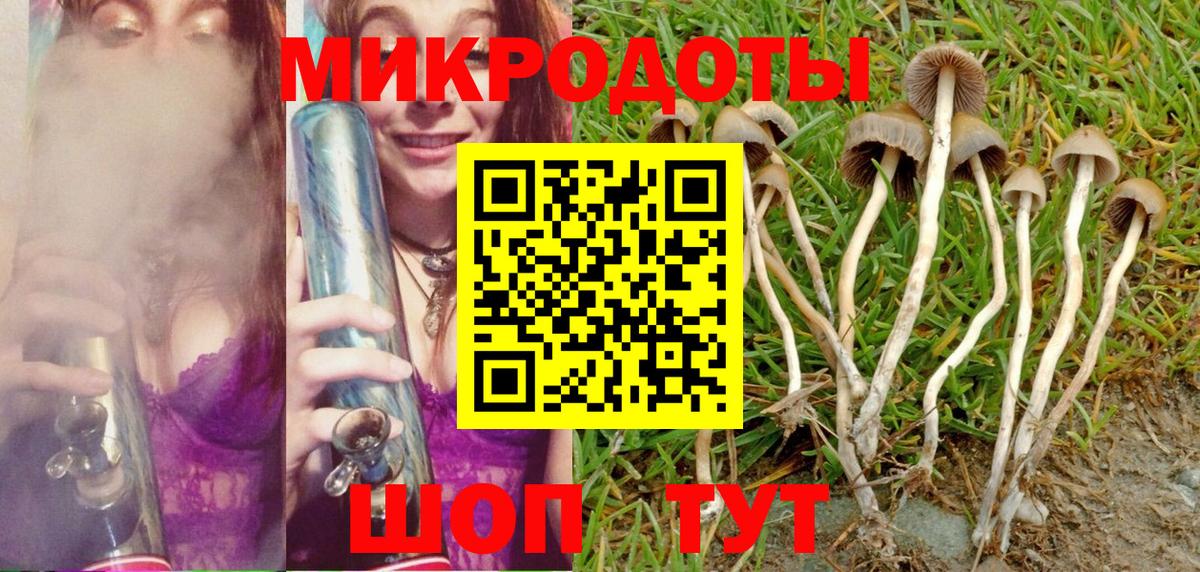 Псилоцибиновые грибы Magic Shrooms  Вход с VPN  Отрадный  Псилоцибиновые грибы Psilocybe 