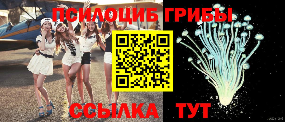Галлюциногенные грибы Psilocybe Отрадный
